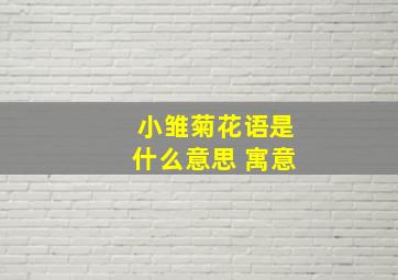 小雏菊花语是什么意思 寓意